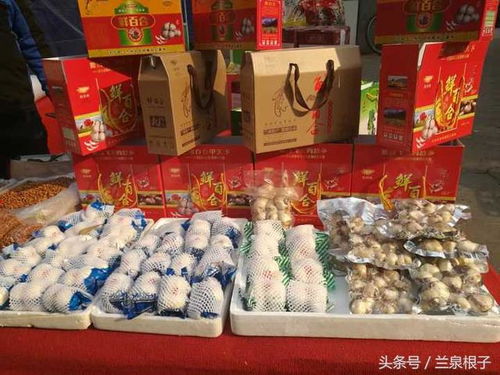 蘭州市供銷社多措并舉保障農(nóng)副土特產(chǎn)品市場供應(yīng)與安全經(jīng)營