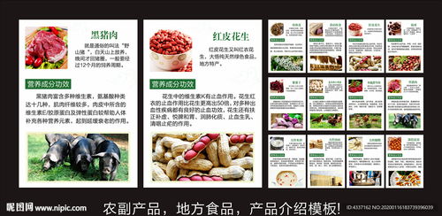 地方農副土特產品介紹與推廣模板設計