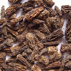 廣元山菇 綠色珍寶，品味自然之韻