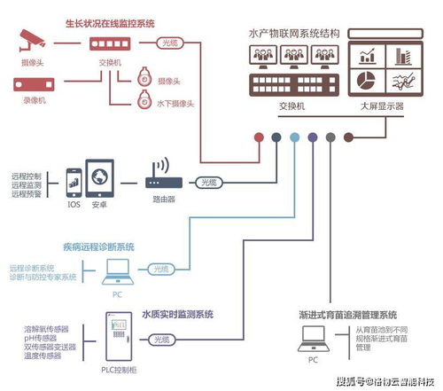 智慧農(nóng)業(yè)新引擎 物聯(lián)網(wǎng)解決方案與網(wǎng)絡(luò)系統(tǒng)集成的融合實(shí)踐