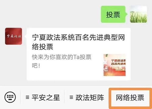 寧夏政法系統(tǒng)百名先進(jìn)典型網(wǎng)絡(luò)投票活動(dòng)正式啟動(dòng)，誠(chéng)邀公眾踴躍參與